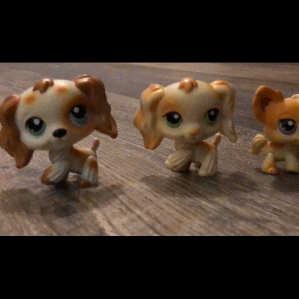 Littlest pet shop authentic-we have over 100 original and houses, accessories!